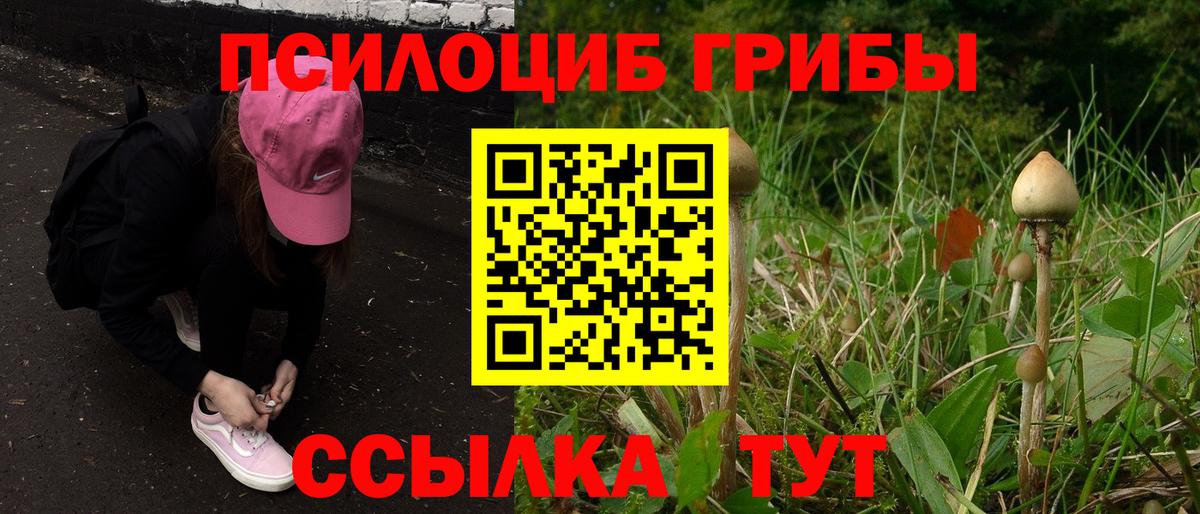 Псилоцибиновые грибы ЛСД Москва