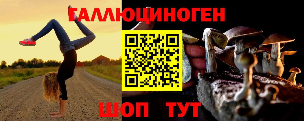 Москва  Псилоцибиновые грибы мухоморы  Вход с VPN 